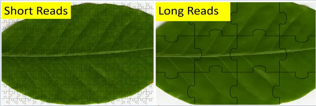 全球首例！PGT技術(shù)成功阻斷環(huán)狀染色體傳遞，誕生健康寶寶-肽度TIMEDOO