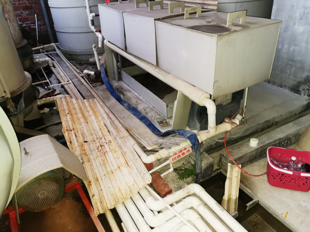 羊水中細胞引領(lǐng)科學突破:創(chuàng)造胎兒類器官新途徑,無需中止妊娠-肽度TIMEDOO