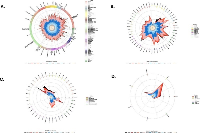 科學家發(fā)現(xiàn)50個腎癌相關新基因區(qū)-肽度TIMEDOO