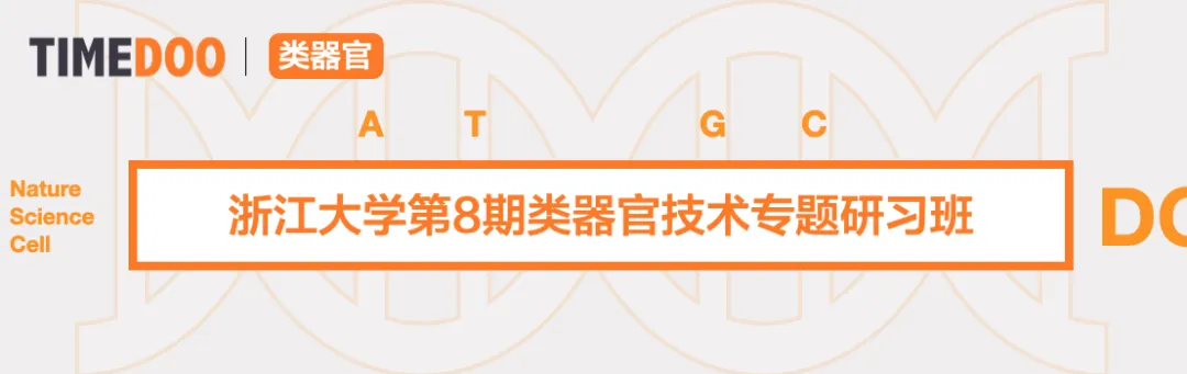 2024年7月18-21日·浙江大學(xué)第8期類器官技術(shù)專題研習(xí)班-肽度TIMEDOO