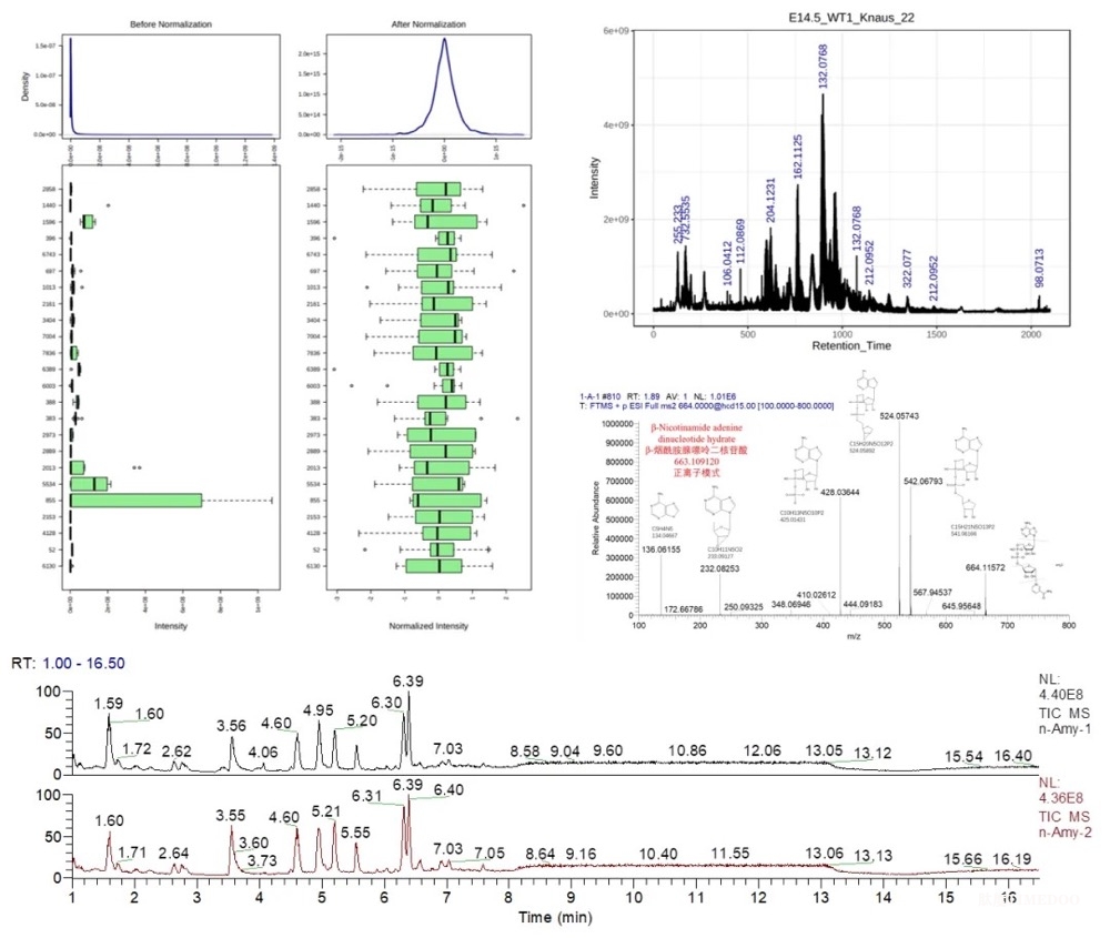 世界首創(chuàng)！Nature最新公布！國(guó)內(nèi)醫(yī)藥生物領(lǐng)域再次打破“枷鎖”！科研之路再度揚(yáng)帆起航！-肽度TIMEDOO