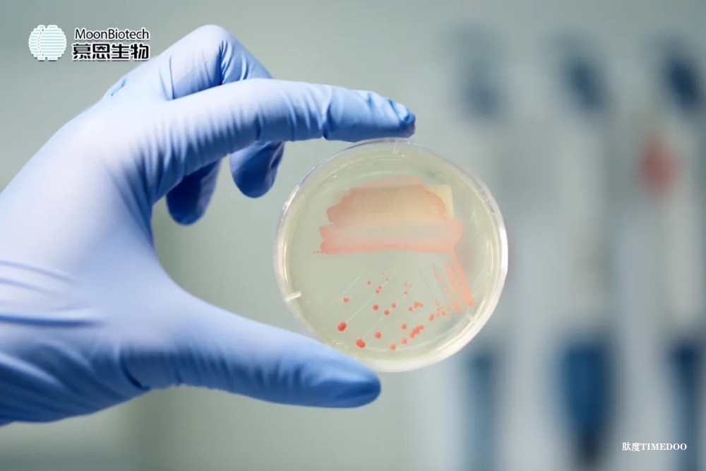 慕恩生物完成3億元C+輪融資，持續(xù)推進更多生物創(chuàng)新產(chǎn)業(yè)化落地-肽度TIMEDOO