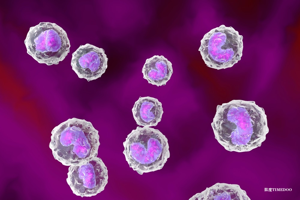 揭示免疫防御途徑-肽度TIMEDOO