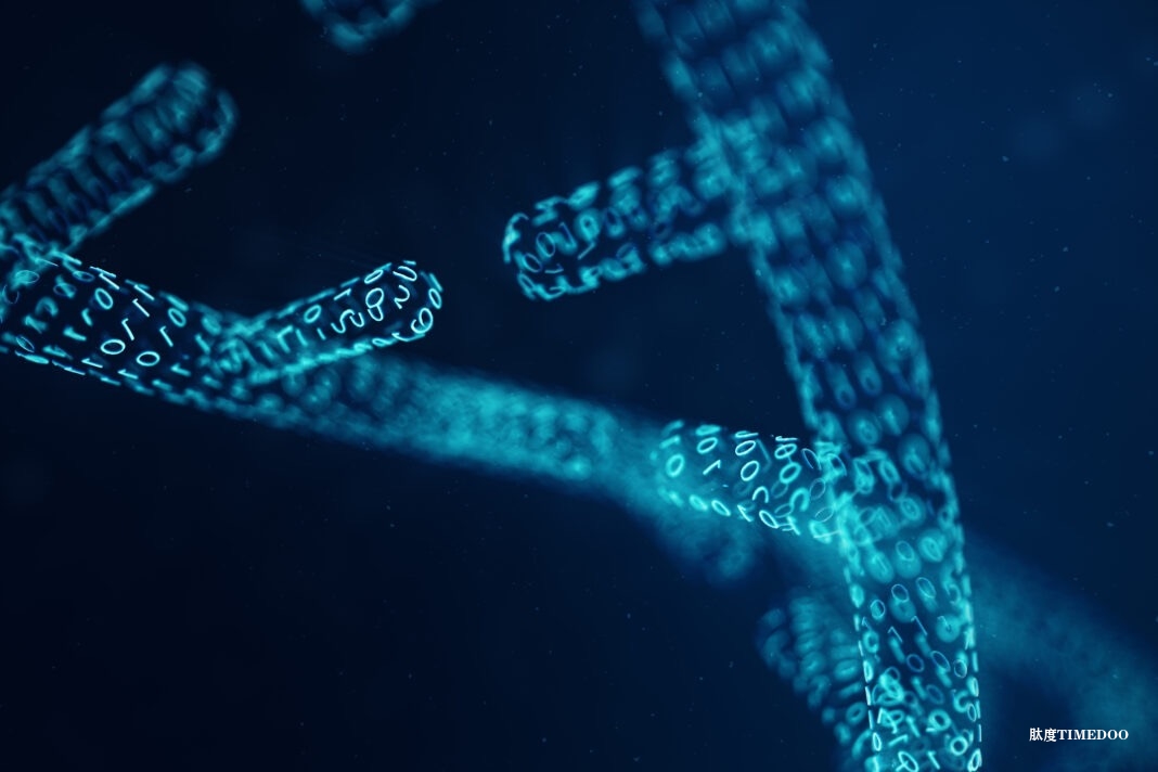 GeneMAP平臺(tái):跨學(xué)科研究揭示線粒體膽堿轉(zhuǎn)運(yùn)的新機(jī)制-肽度TIMEDOO