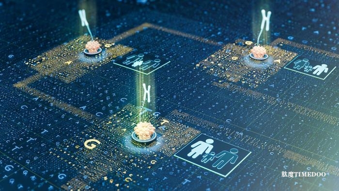 突破性基因檢測(cè)技術(shù),快速準(zhǔn)確診斷孟德?tīng)栠z傳病-肽度TIMEDOO