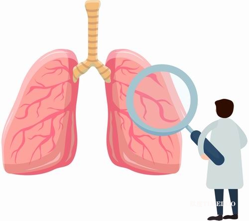 點(diǎn)亮肺部 國(guó)產(chǎn)高端磁共振裝備的攻堅(jiān)路-肽度TIMEDOO