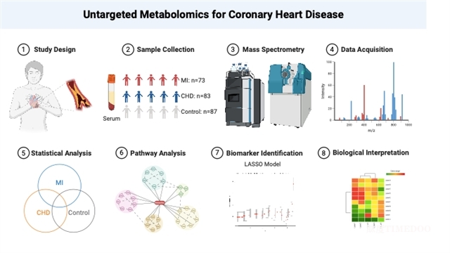 科學(xué)家發(fā)現(xiàn)心血管疾病代謝特征和生物標(biāo)志物-肽度TIMEDOO