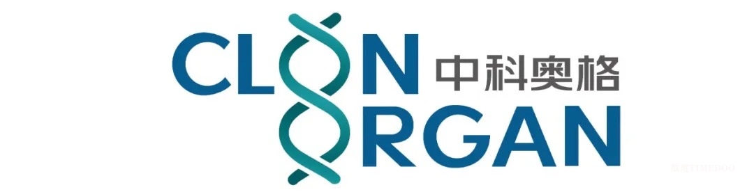 中科奧格完成千萬A+輪融資，助力基因編輯豬的深度研發(fā)-肽度TIMEDOO