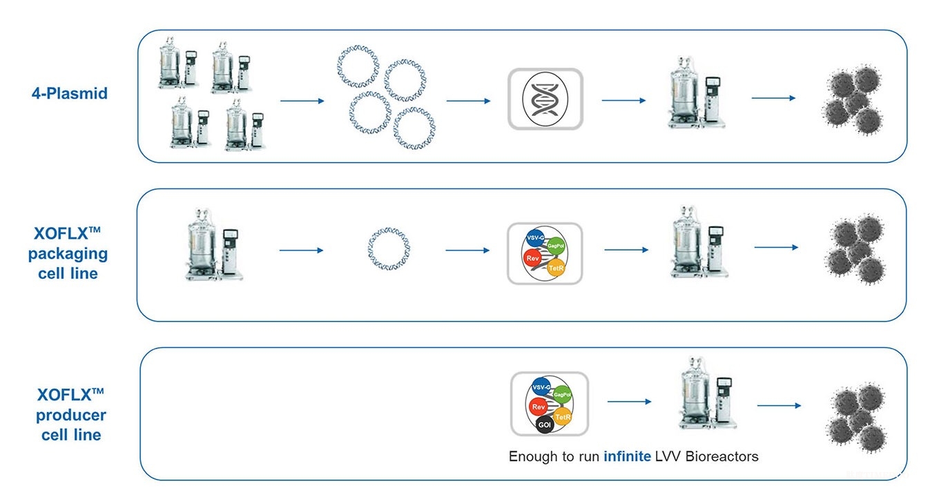 CAR/TCR T細(xì)胞療法：優(yōu)化生產(chǎn)以降低成本并提高可及性-肽度TIMEDOO