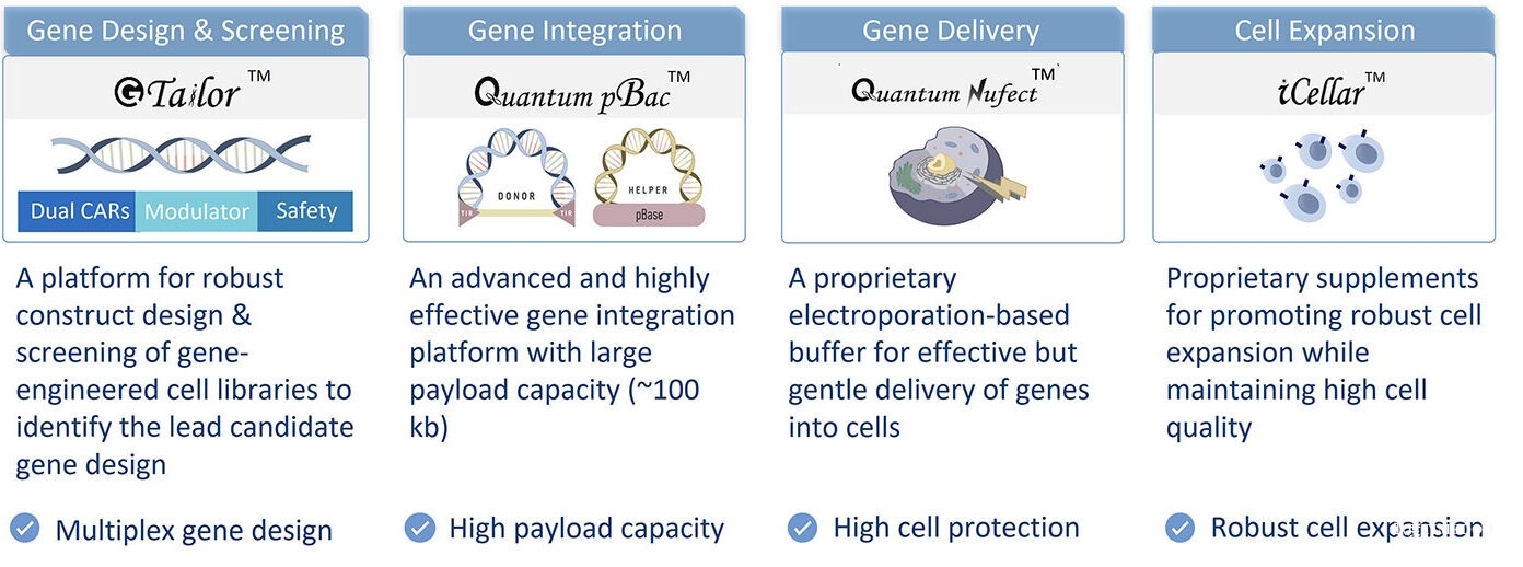 CAR/TCR T細(xì)胞療法:優(yōu)化生產(chǎn)以降低成本并提高可及性-肽度TIMEDOO