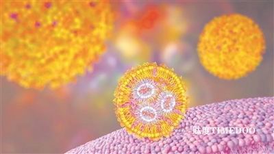 定制mRNA載體可快速創(chuàng)建并自帶“導(dǎo)航” 為治療多種器官疾病開(kāi)辟新途徑-肽度TIMEDOO