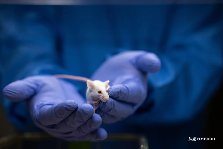 一個(gè)促炎蛋白沒(méi)了，壽命便延長(zhǎng)了-肽度TIMEDOO