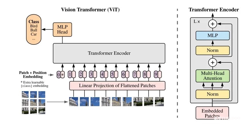 在線精品課程：深度學(xué)習(xí)蛋白質(zhì)設(shè)計(jì)【10月份上課，5天課程】-肽度TIMEDOO