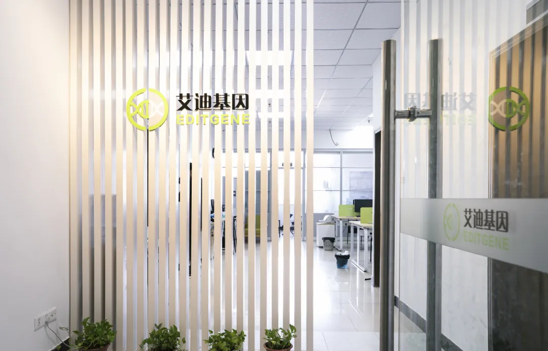 艾迪基因完成超千萬元天使輪融資，全面加速基因編輯產(chǎn)業(yè)應用進程-肽度TIMEDOO