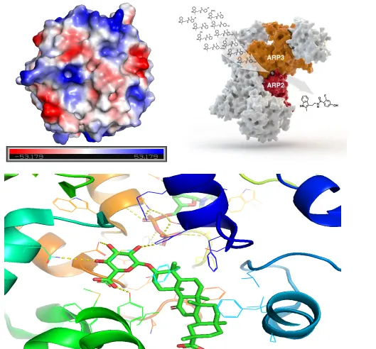 在線精品課程：CADD計算機輔助藥物設計【10月份上課，7天課程】-肽度TIMEDOO