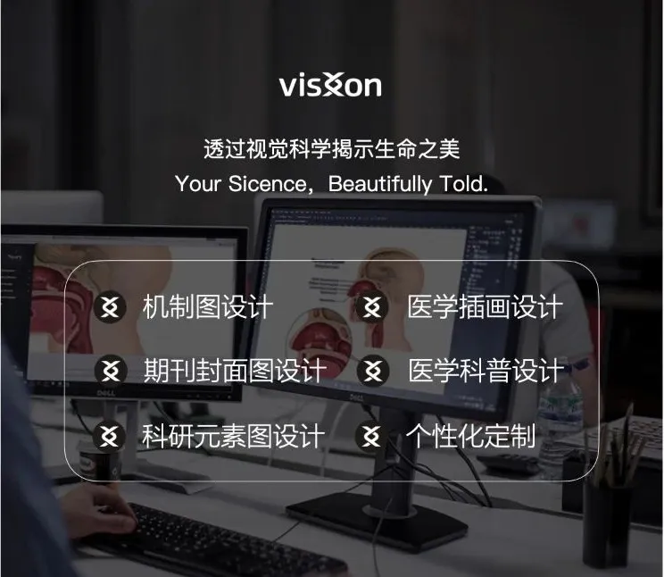 一圖讀懂|從藝術(shù)角度盤點10張“肺癌”高水平機制圖-肽度TIMEDOO