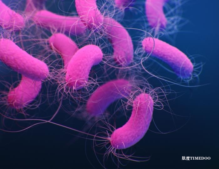 長胡椒助力開發(fā)新型抗生素-肽度TIMEDOO