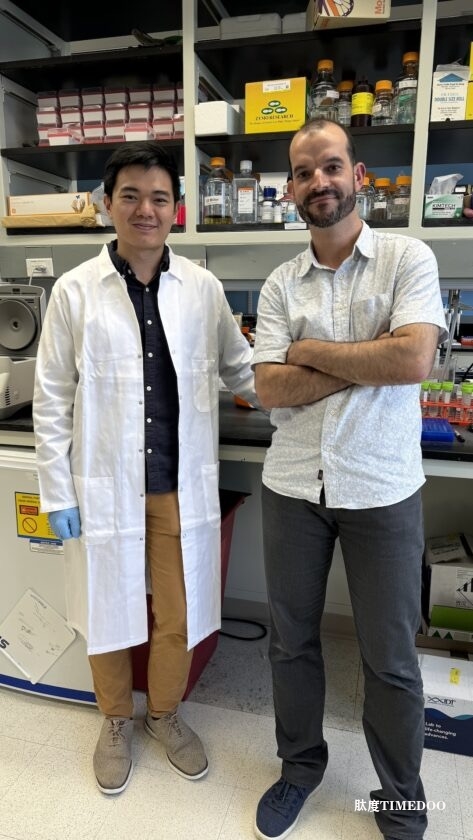 揭示抗病毒免疫的新機(jī)制:一種逆轉(zhuǎn)錄酶如何通過(guò)基因合成實(shí)現(xiàn)細(xì)胞生長(zhǎng)停滯-肽度TIMEDOO