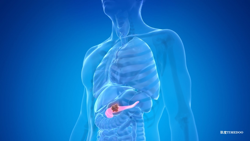 小鼠胰腺癌腫瘤在納米遞送四藥組合后縮小-肽度TIMEDOO