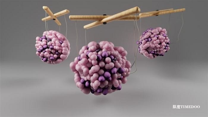 攜帶突變壓力反應(yīng)基因的人群糖尿病風險更高-肽度TIMEDOO