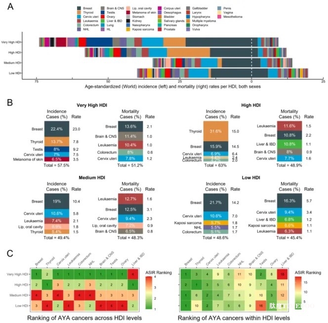 何建行/梁文華團(tuán)隊(duì)發(fā)布全球青少年和年輕人癌癥負(fù)擔(dān)最新統(tǒng)計(jì)數(shù)據(jù)-肽度TIMEDOO