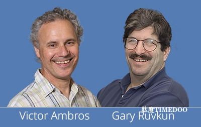 2024年諾貝爾生理學(xué)或醫(yī)學(xué)獎揭曉-肽度TIMEDOO