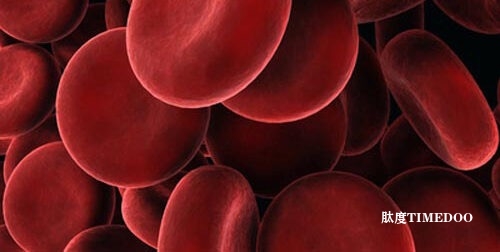 谷氨酰胺在紅細胞生成中的新角色-肽度TIMEDOO