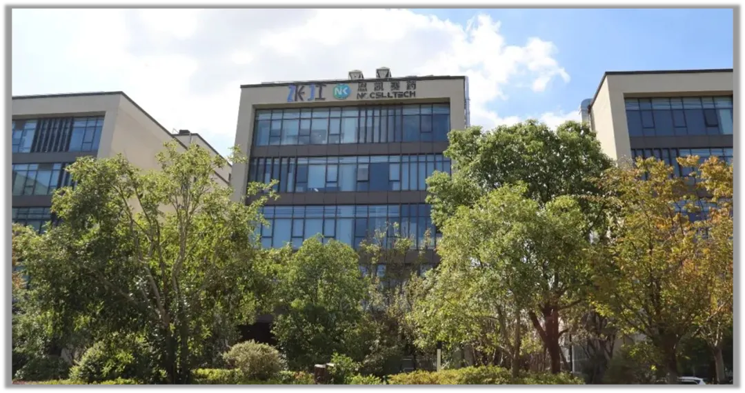 恩凱賽藥完成數(shù)千萬元A++輪融資，加速推進(jìn)NK細(xì)胞免疫產(chǎn)品管線-肽度TIMEDOO