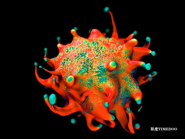威爾康奈爾醫(yī)學(xué)院研究顯示EZH2抑制劑可顯著增強(qiáng)癌癥免疫療法效果-肽度TIMEDOO