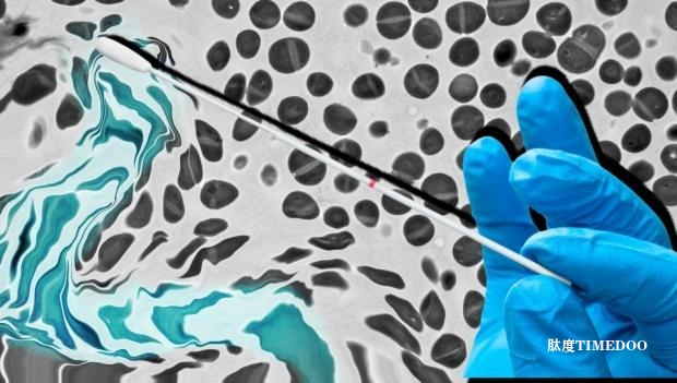 皮膚表面細(xì)菌“化身”活體疫苗-肽度TIMEDOO