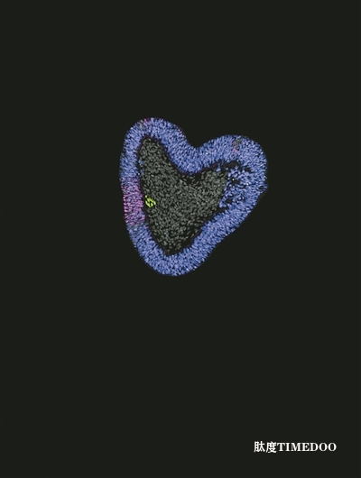 培育人類脊索組織的干細胞模型成功開發(fā)-肽度TIMEDOO