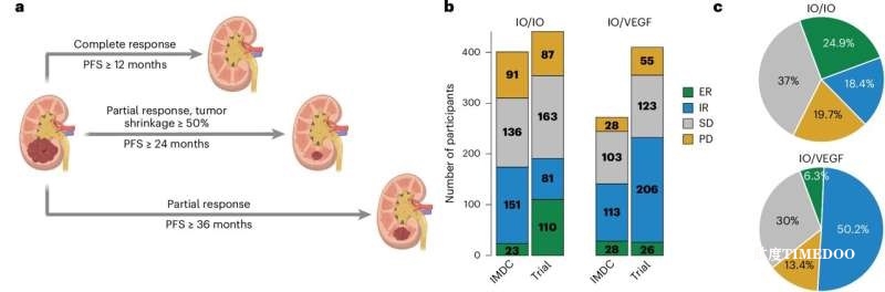 腎癌研究確定了免疫療法產(chǎn)生特殊反應(yīng)的因素-肽度TIMEDOO