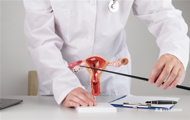 抓住術(shù)后卵巢恢復(fù)黃金期！達(dá)愈Reco22提醒女性重視卵巢健康-肽度TIMEDOO