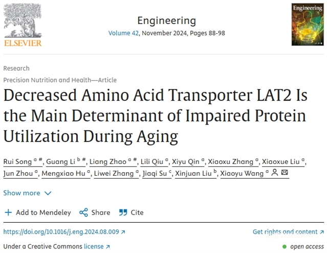 老年人蛋白質(zhì)利用效率緣何降低？中國農(nóng)大研究團(tuán)隊(duì)給出答案 Engineering-肽度TIMEDOO