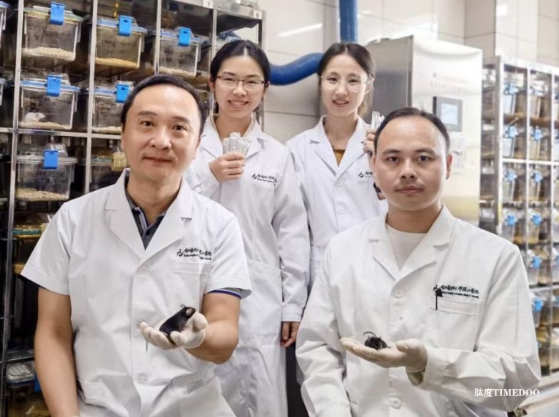 我國(guó)科學(xué)家首次揭示肝性腦病 “幕后黑手”-肽度TIMEDOO