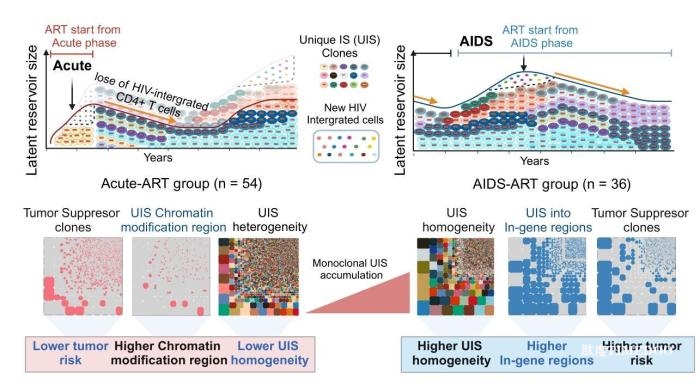 深圳研究團(tuán)隊(duì)《自然》子刊發(fā)文 提供攻克艾滋病新思路-肽度TIMEDOO