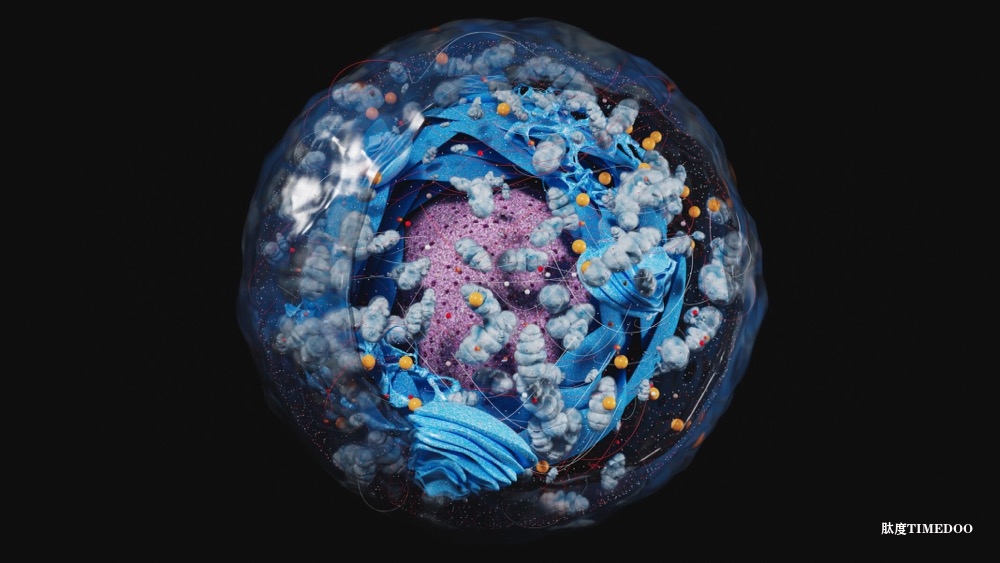 哥倫比亞大學(xué)研發(fā)精準(zhǔn)預(yù)測(cè)人類細(xì)胞基因活動(dòng)的AI系統(tǒng)-肽度TIMEDOO