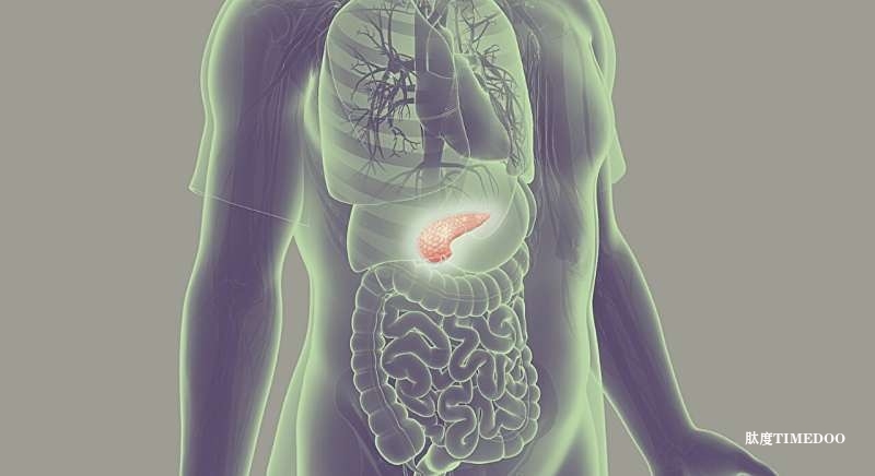 一種新型有效的治療方法可能正在為致命的胰腺癌帶來曙光-肽度TIMEDOO