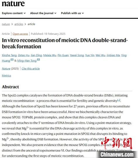 我國學者最新研究為生殖醫(yī)學與遺傳疾病研究開辟新路徑-肽度TIMEDOO