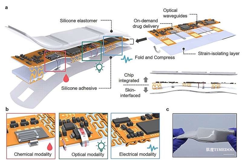 DGIST研究團(tuán)隊(duì)開發(fā)出智能貼片，實(shí)現(xiàn)實(shí)時(shí)生物信號(hào)監(jiān)測(cè)與藥物輸送-肽度TIMEDOO
