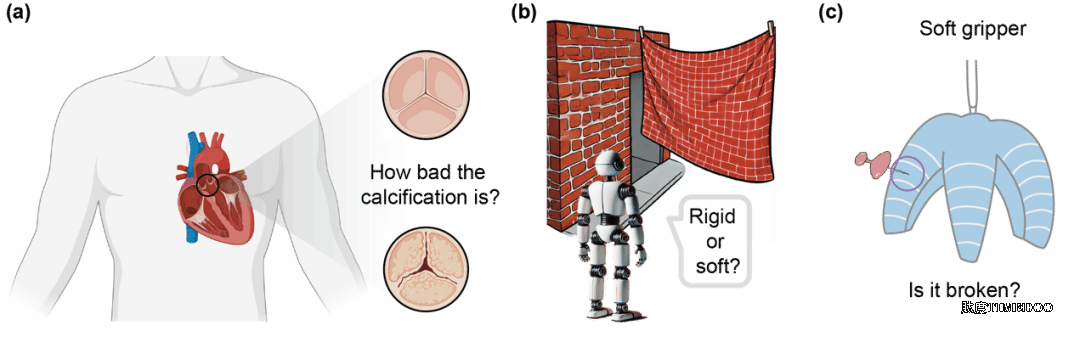 image2.png 北京大學(xué)祖凌云/劉珂/朱馳研究團(tuán)隊(duì)發(fā)文揭示基于影像推測物質(zhì)物理性質(zhì)-肽度TIMEDOO