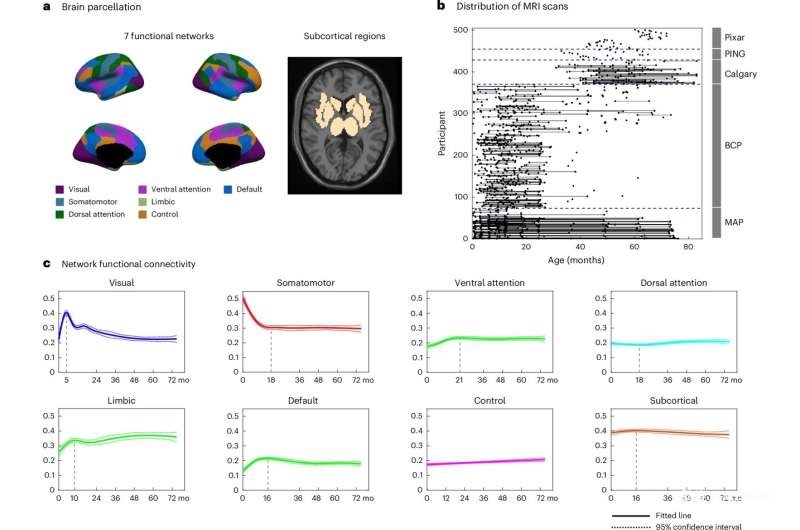 UNC團(tuán)隊(duì)繪制0至6歲大腦功能發(fā)育圖譜，有望早期識別認(rèn)知發(fā)展差異-肽度TIMEDOO