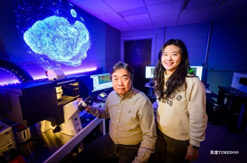 DNA折紙技術(shù)助力精準(zhǔn)成像,突破胰腺癌治療瓶頸-肽度TIMEDOO