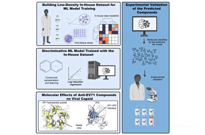 人工智能助力抗病毒研究，顯著加速手足口病新藥發(fā)現(xiàn)-肽度TIMEDOO
