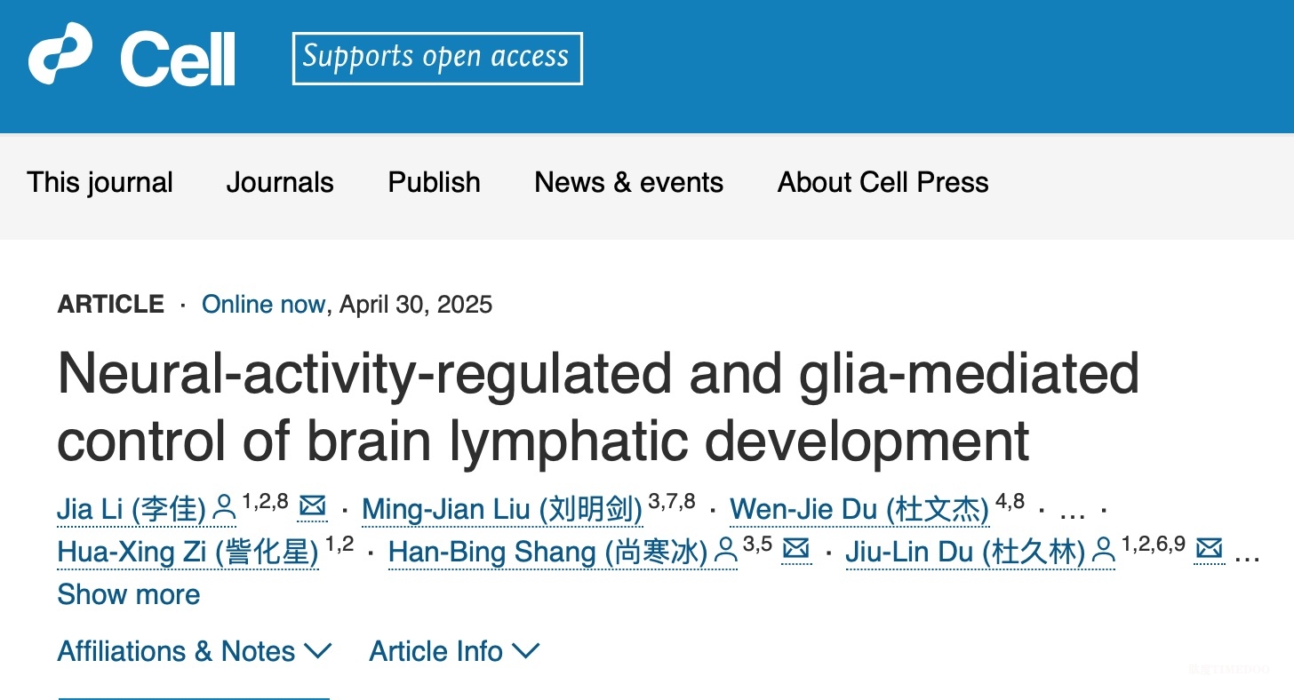 中國科學家首次揭示腦膜淋巴系統(tǒng)發(fā)育大腦調控機制-肽度TIMEDOO