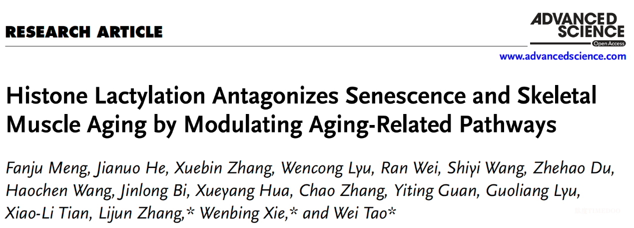 image1.png 北京大學(xué)生命科學(xué)學(xué)院陶偉課題組與合作者揭示組蛋白乳酸化修飾調(diào)控衰老的分子機(jī)制-肽度TIMEDOO