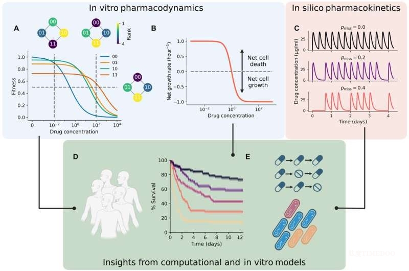 克利夫蘭診所研究:抗生素治療失敗可能源于“早期漏服”而非總劑量不足-肽度TIMEDOO