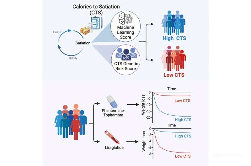 梅奧診所研發(fā)基因檢測，助力個體化減重藥物選擇-肽度TIMEDOO